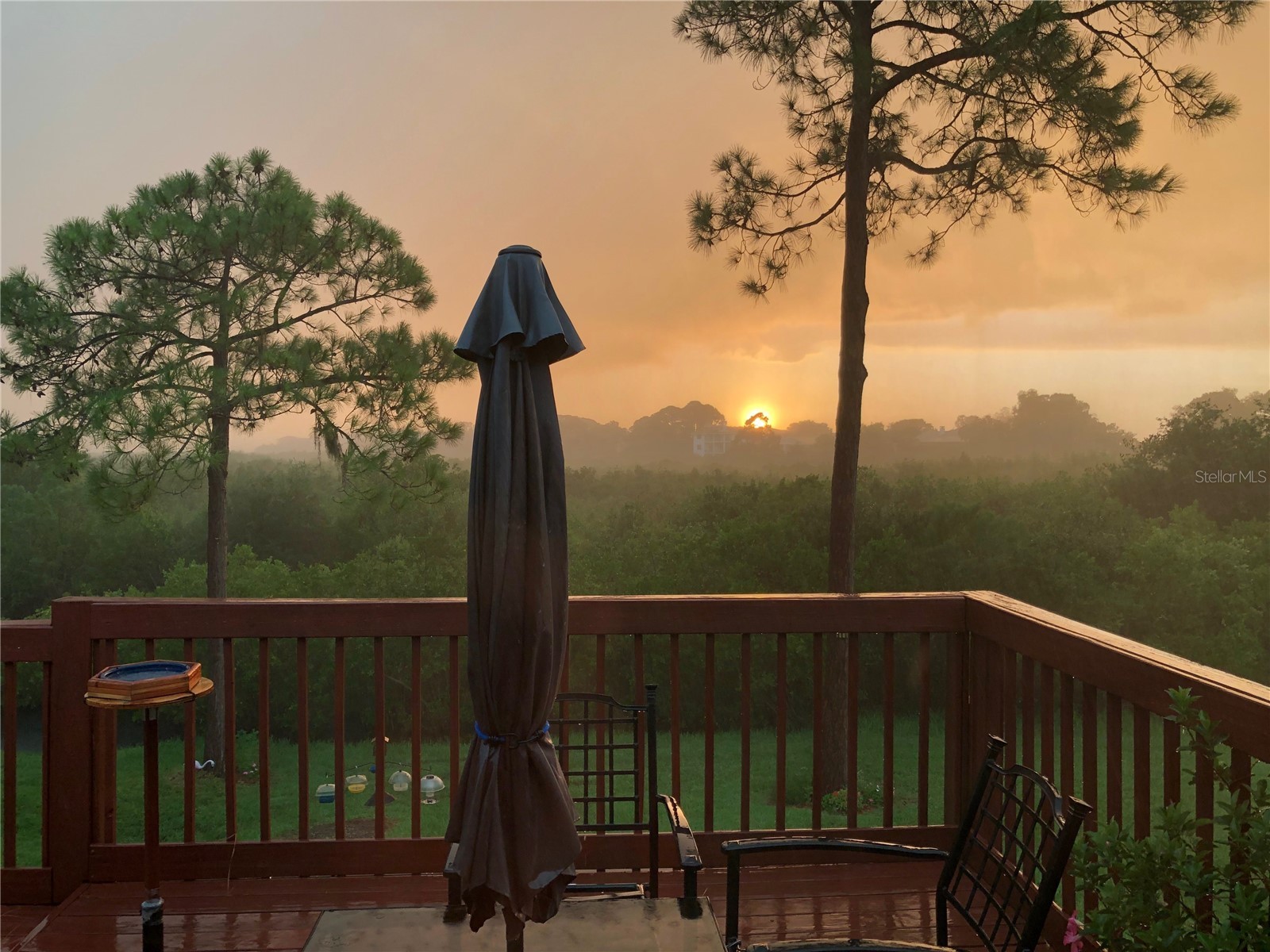 1059 S Pointe Alexis Dr Tarpon Springs FL 34689 TB8460227 image4