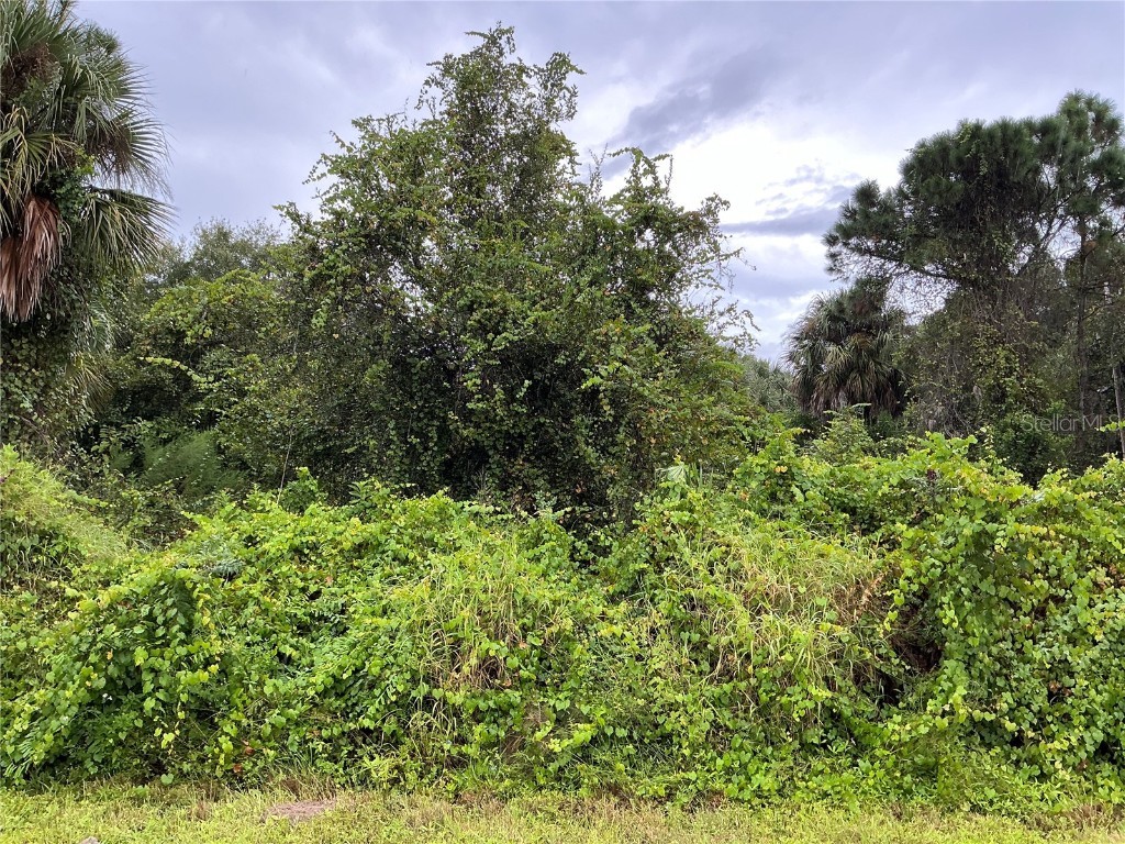 10590 77th Street Vero Beach FL 32967 OM688037 image1