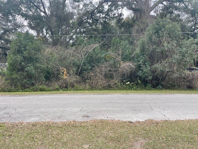 10590 SE 130th Place Ocklawaha FL 32179 G5077258 image1