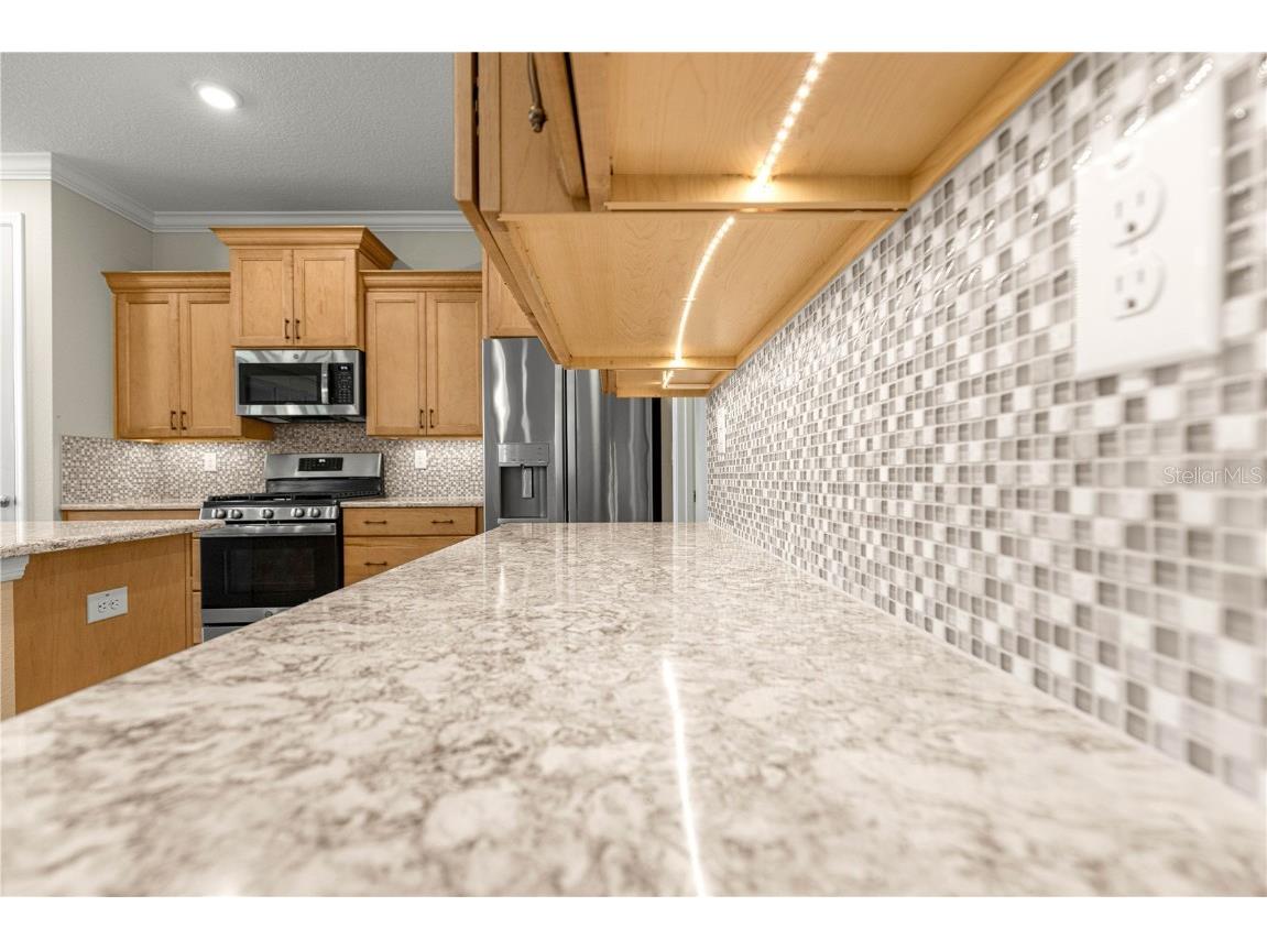 10597 SW 90th Street Road Ocala FL 34481 OM704319 image12