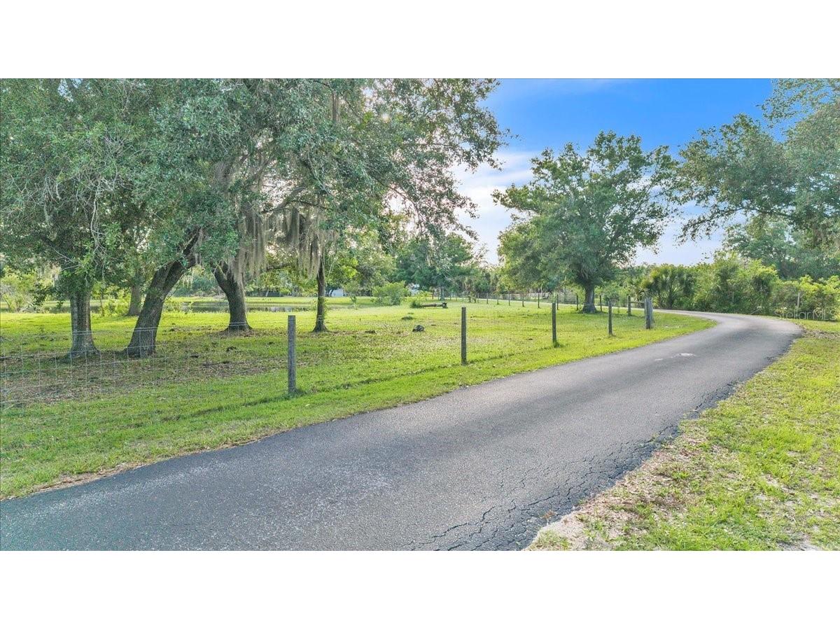 10597 SW Kissimmee Road Arcadia FL 34269 C7525234 image4