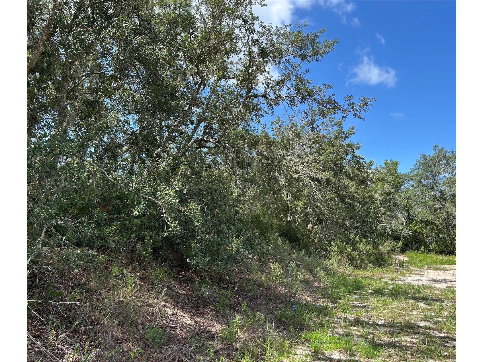 106 & 108 Sail Place Kissimmee FL 34759 FC319304 image3