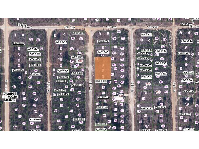 106 16th Street Interlachen FL 32148 OM629915 image3