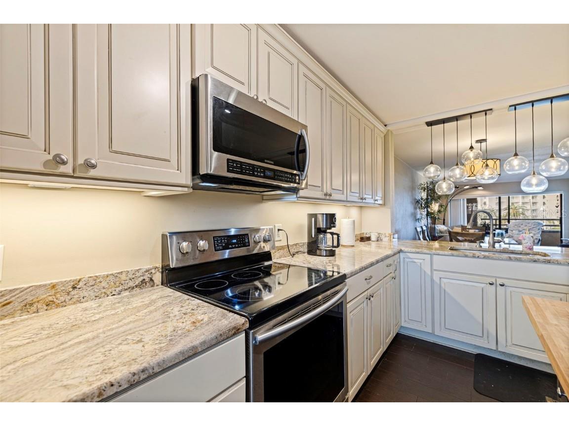 106 1st Street E #315 Tierra Verde FL 33715 TB8443614 image10