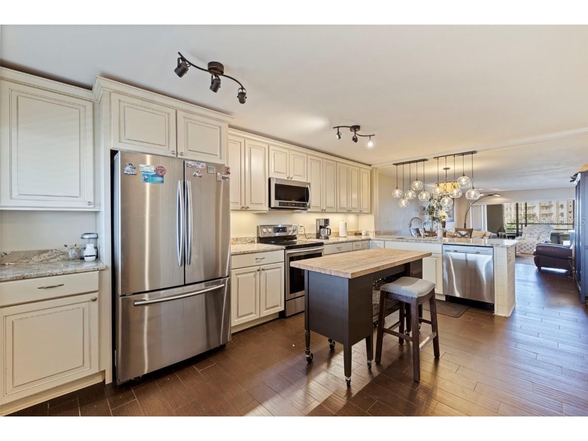 106 1st Street E #315 Tierra Verde FL 33715 TB8443614 image8