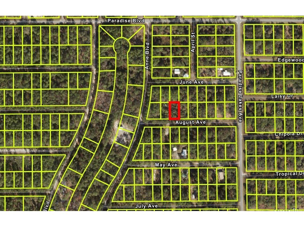 106 August Avenue Georgetown FL 32139 O6263224 image1