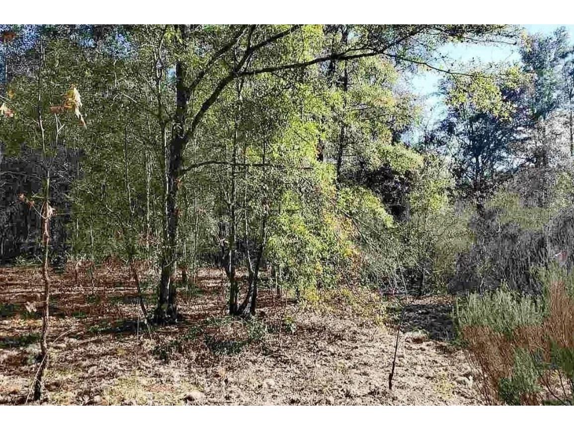 106 Bradford Street Hawthorne FL 32640 GC514635 image1