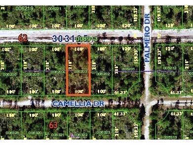 106 Camellia Drive Indian Lake Estates FL 33855 O6095208 image1