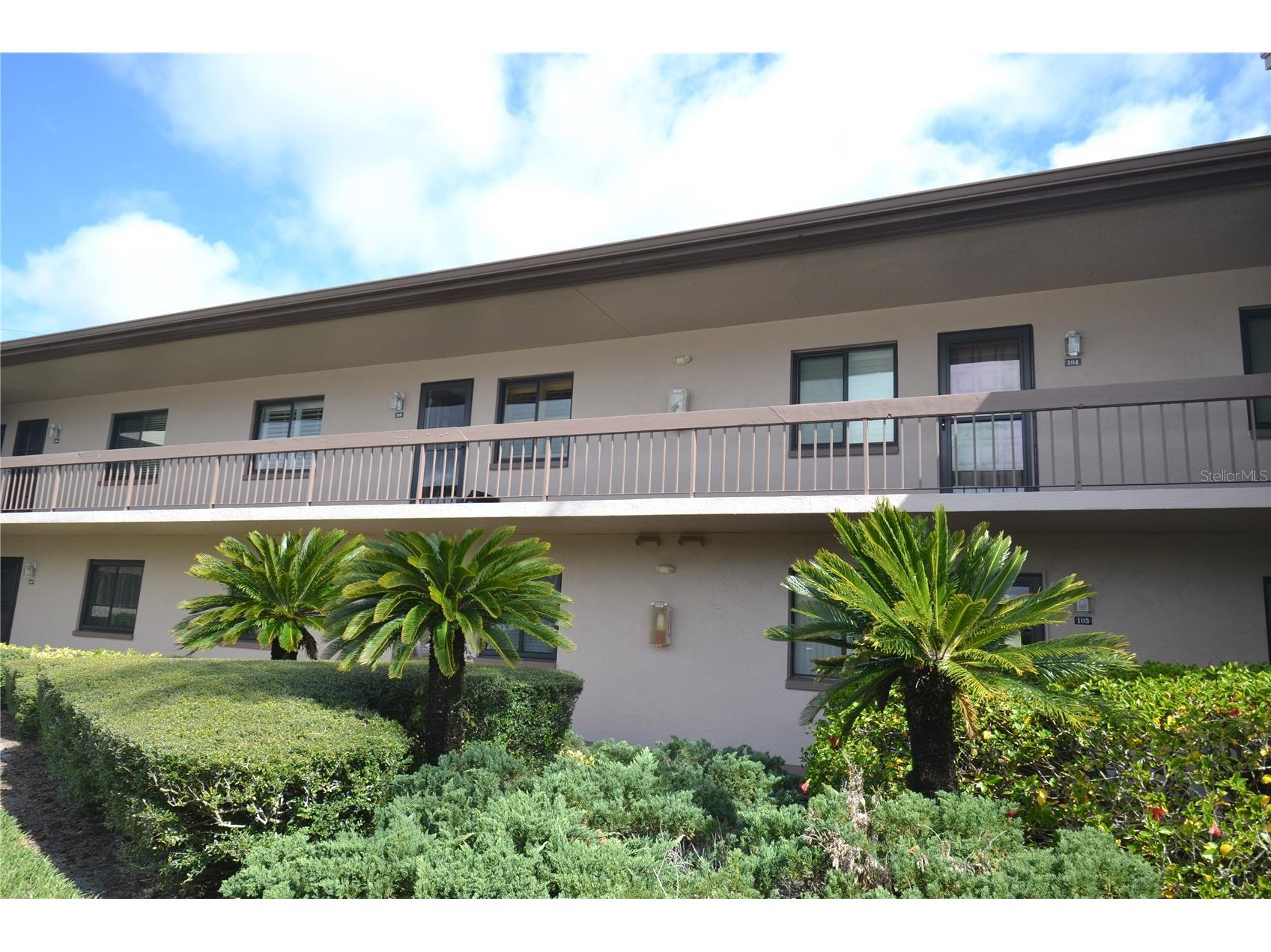 106 Camille Court #106 Oldsmar FL 34677 TB8477514 image1