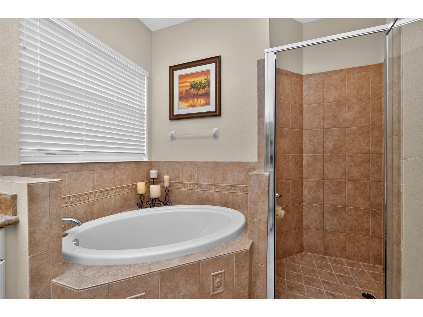 106 Caneletto Way North Venice FL 34275 N6144743 image48