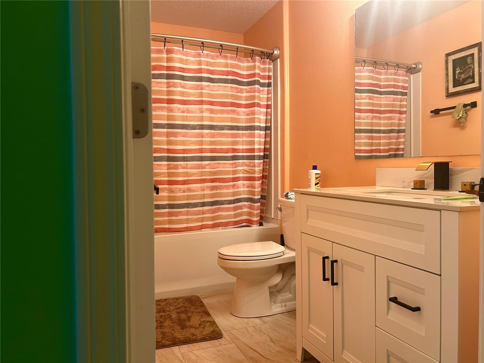 106 Cascade Bend Drive Ruskin FL 33570 TB8463389 image6