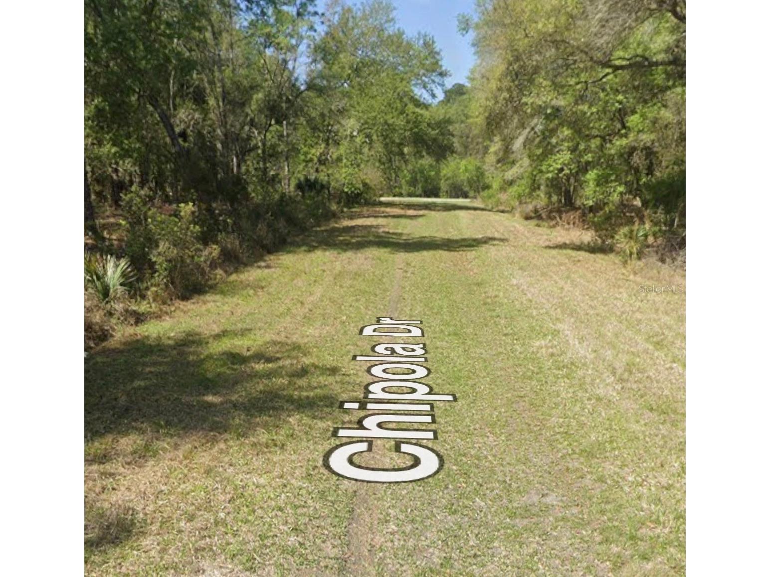 106 Chipola Drive Georgetown FL 32139 A4695933 image3