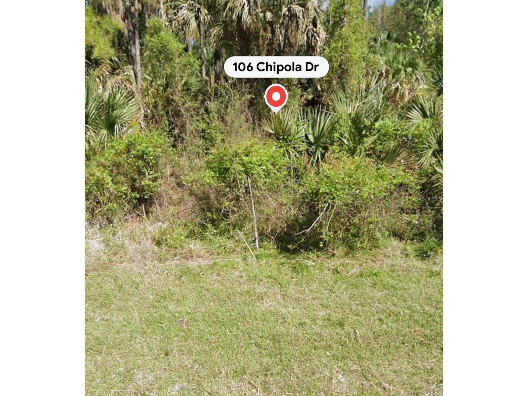 106 Chipola Drive Georgetown FL 32139 A4695933 image4