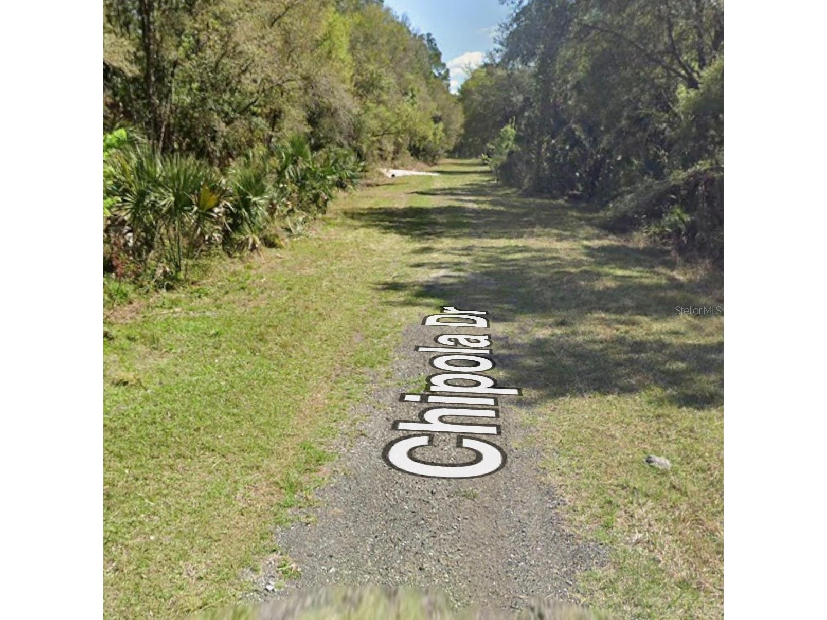 106 Chipola Drive Georgetown FL 32139 A4695933 image5