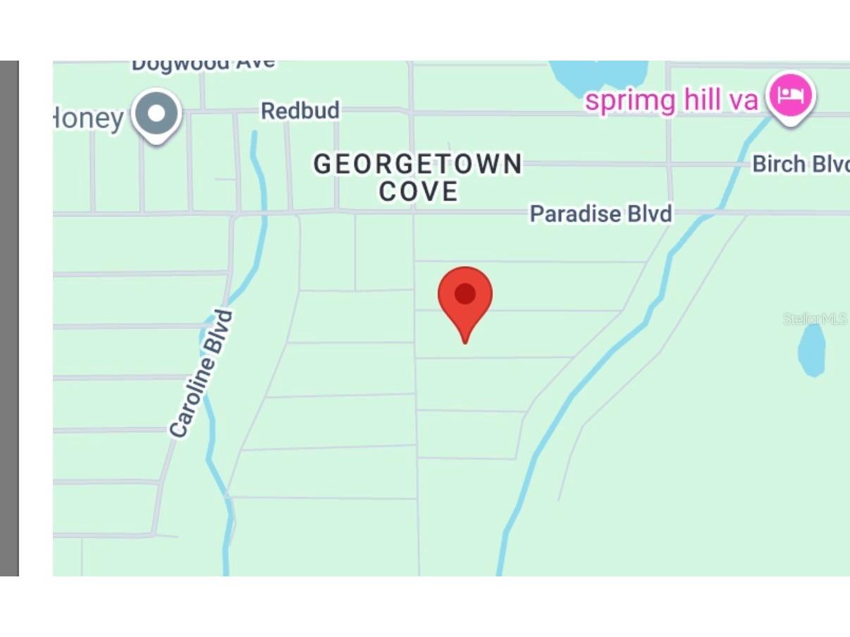 106 Chipola Drive Georgetown FL 32139 A4695933 image6