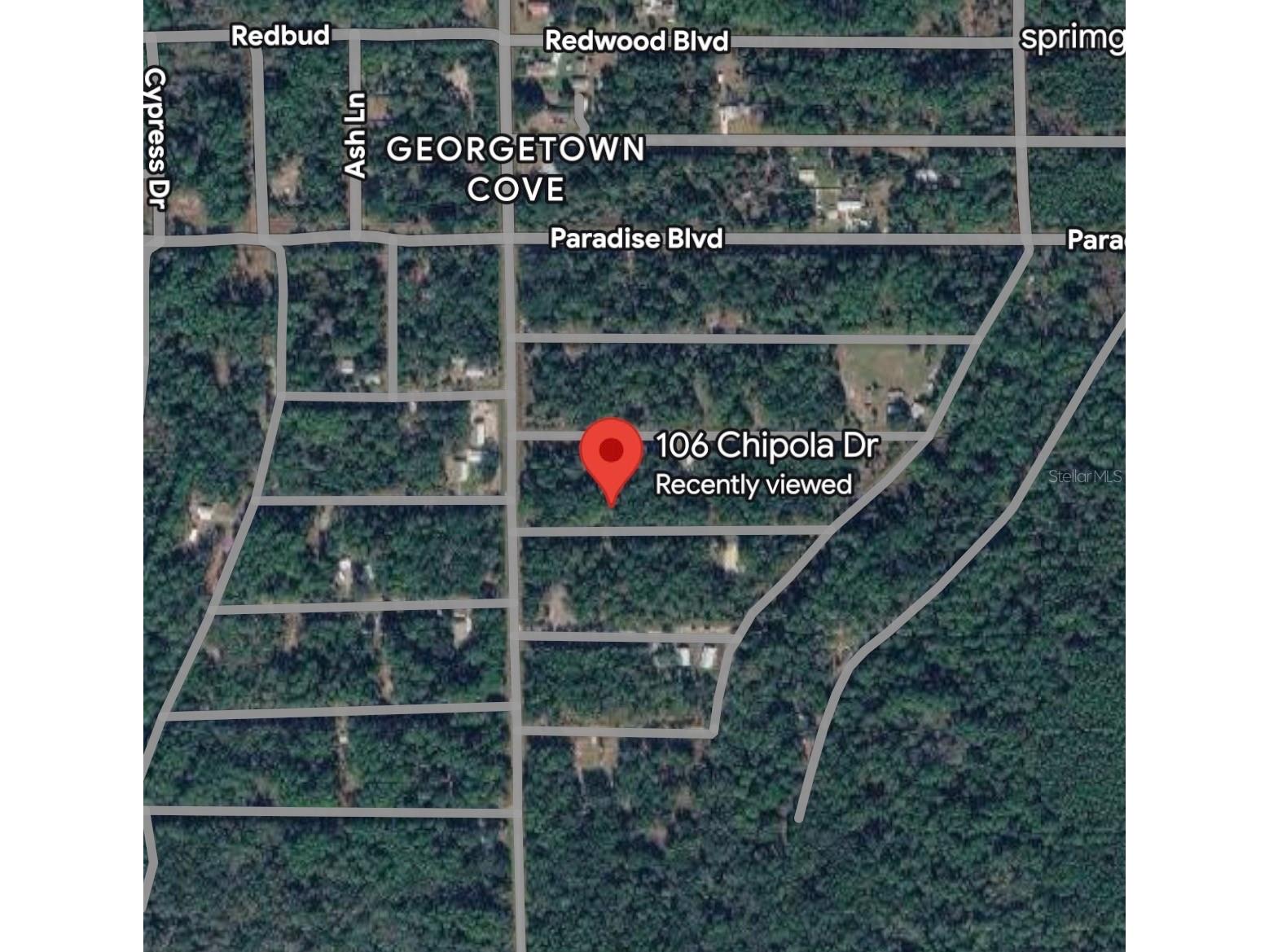 106 Chipola Drive Georgetown FL 32139 A4695933 image8