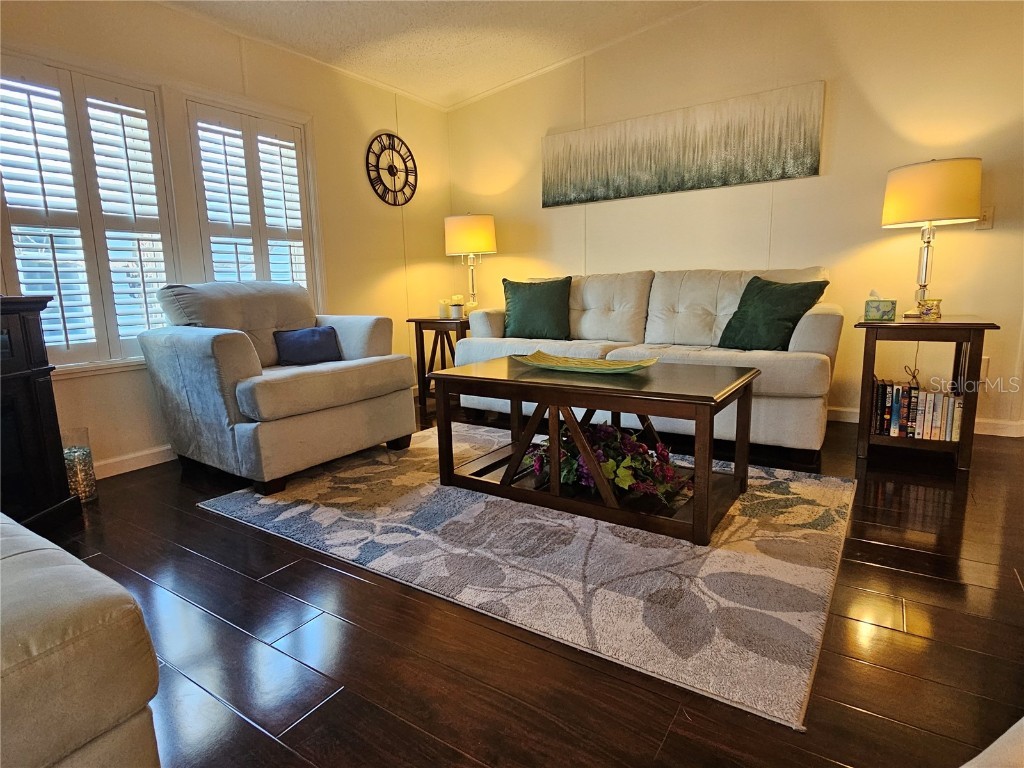 106 Dolphin Drive E Oldsmar FL 34677 TB8438561 image11