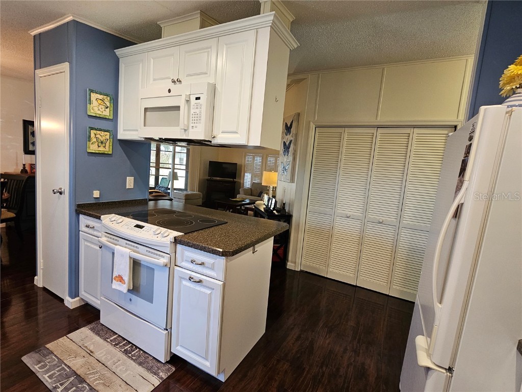 106 Dolphin Drive E Oldsmar FL 34677 TB8438561 image15