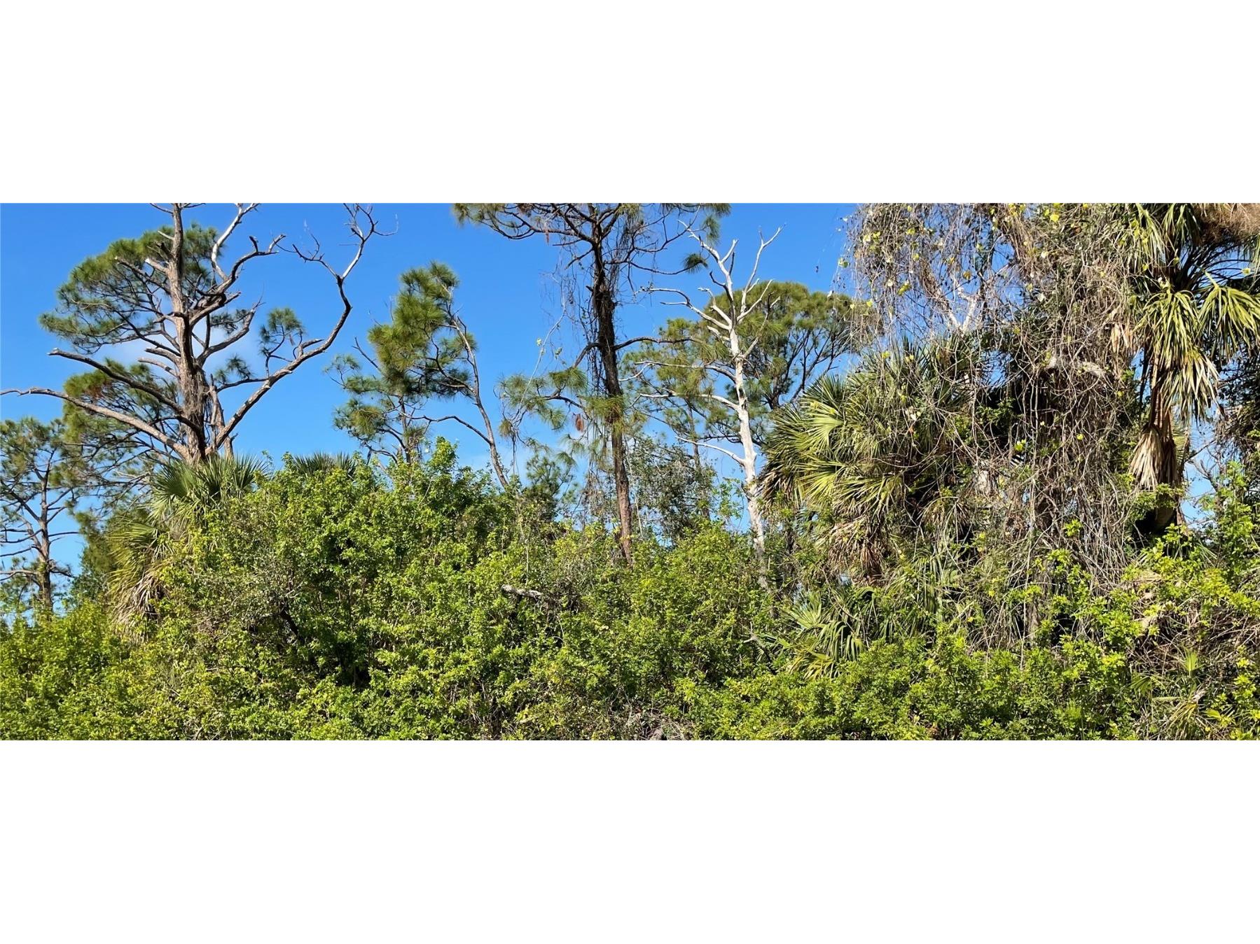 106 Hawk Drive Rotonda West FL 33947 C7505041 image1