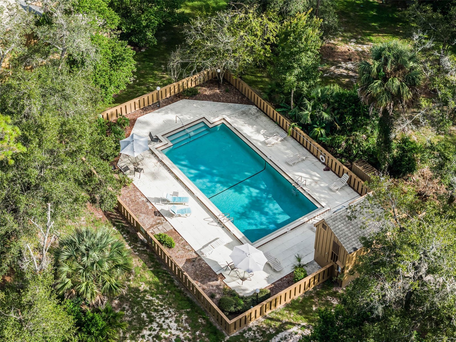 106 Hidden Oak Drive Longwood FL 32779 - WEKIVA SPRINGS O6401486 image50