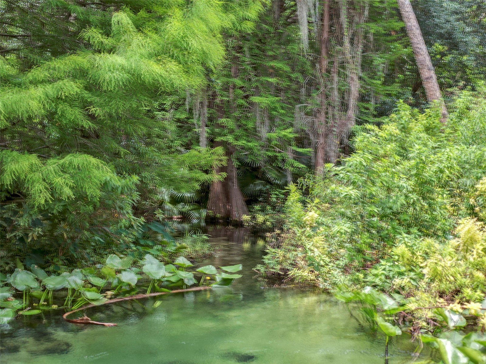 106 Hidden Oak Drive Longwood FL 32779 - WEKIVA SPRINGS O6401486 image62