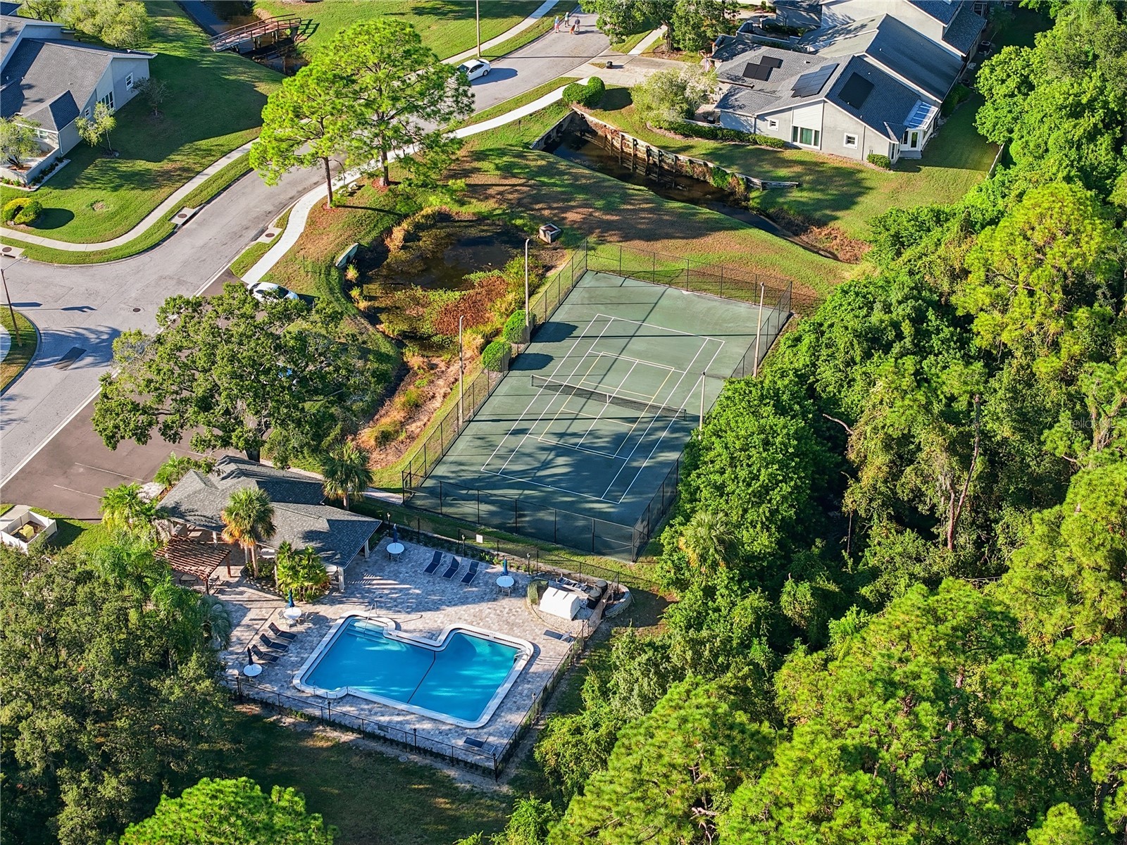 106 Hunter Court Palm Harbor FL 34684 TB8440649 image20