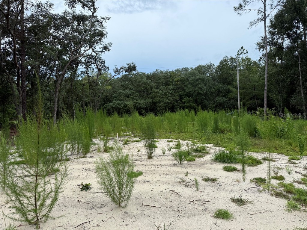 106 Jackson Avenue Interlachen FL 32148 O6338563 image10