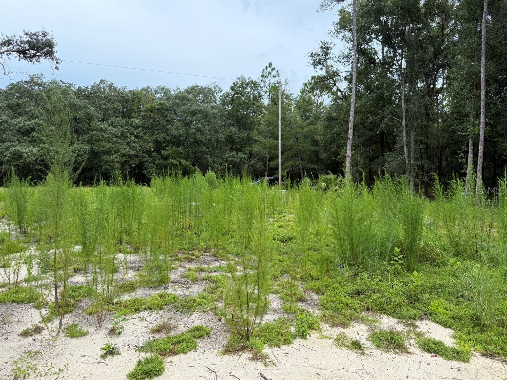 106 Jackson Avenue Interlachen FL 32148 O6338563 image11