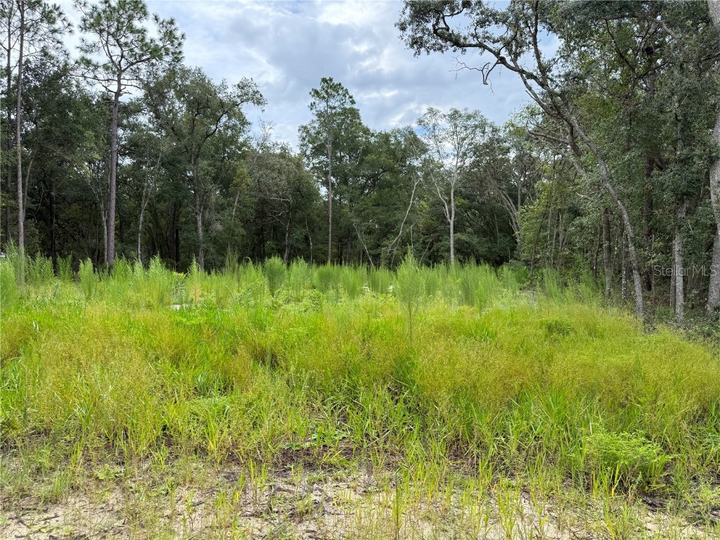 106 Jackson Avenue Interlachen FL 32148 O6338563 image12