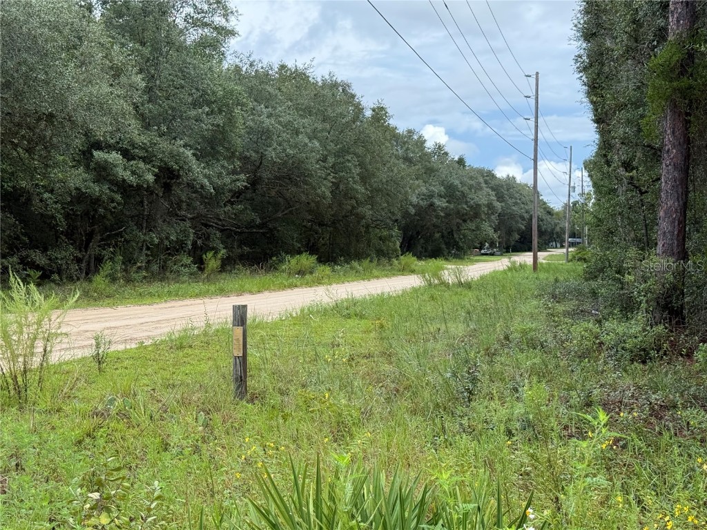 106 Jackson Avenue Interlachen FL 32148 O6338563 image13