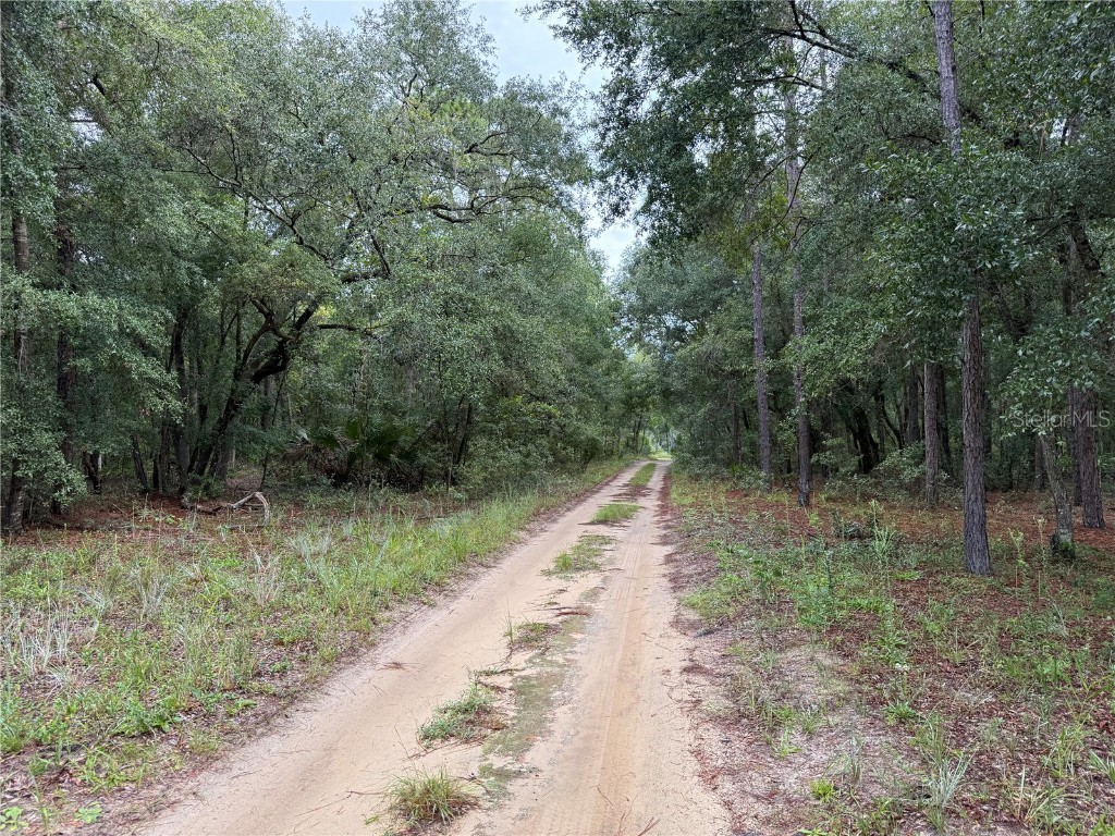 106 Jackson Avenue Interlachen FL 32148 O6338563 image14