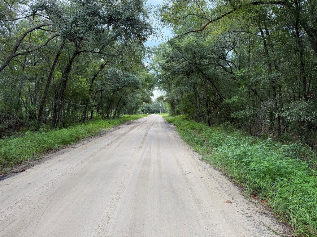 106 Jackson Avenue Interlachen FL 32148 O6338563 image16