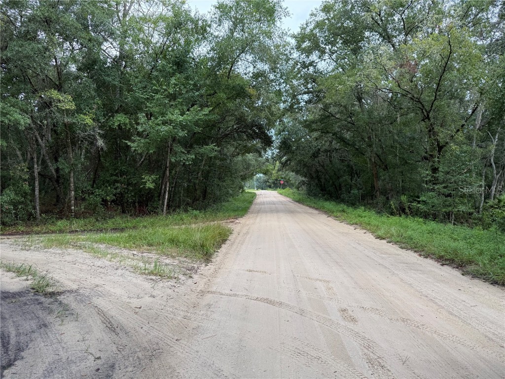 106 Jackson Avenue Interlachen FL 32148 O6338563 image17