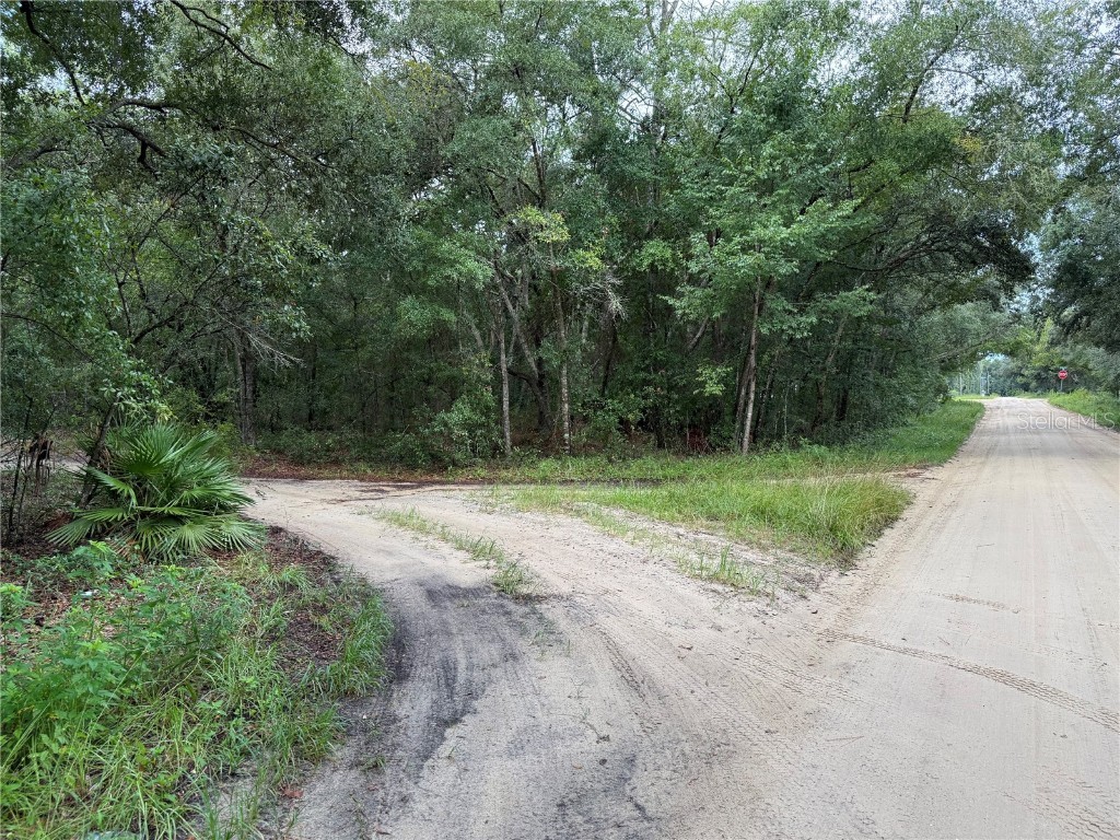 106 Jackson Avenue Interlachen FL 32148 O6338563 image18