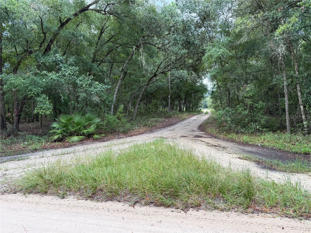 106 Jackson Avenue Interlachen FL 32148 O6338563 image19