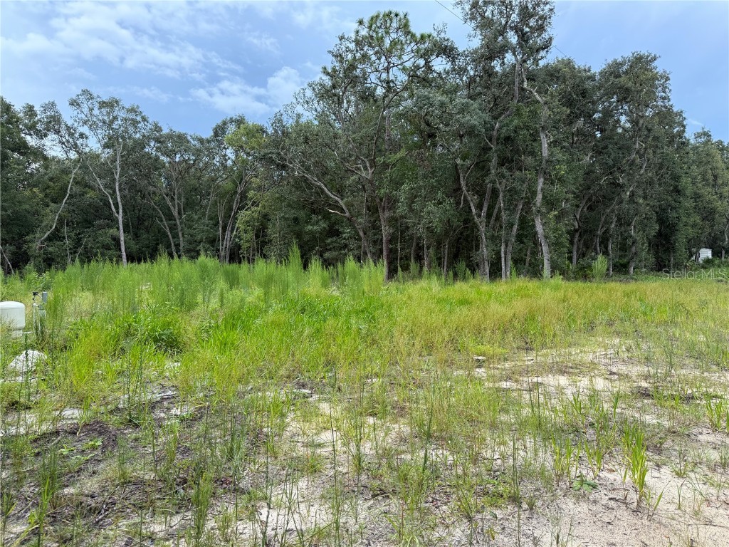 106 Jackson Avenue Interlachen FL 32148 O6338563 image3