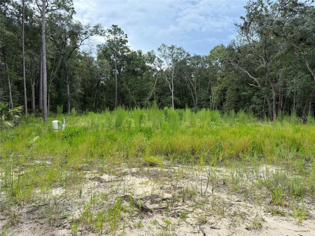 106 Jackson Avenue Interlachen FL 32148 O6338563 image4