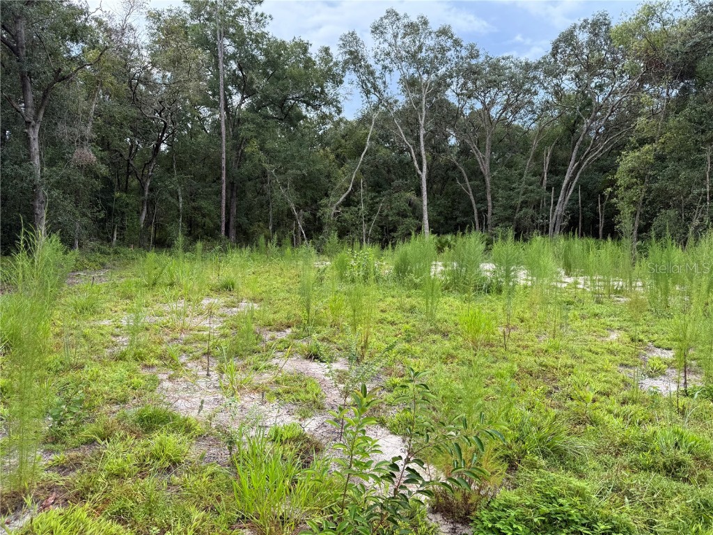 106 Jackson Avenue Interlachen FL 32148 O6338563 image7