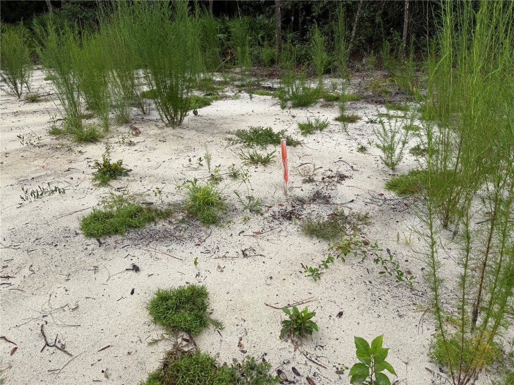 106 Jackson Avenue Interlachen FL 32148 O6338563 image8