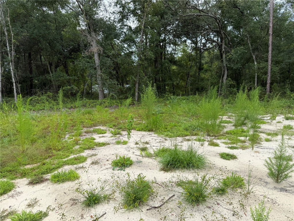 106 Jackson Avenue Interlachen FL 32148 O6338563 image9