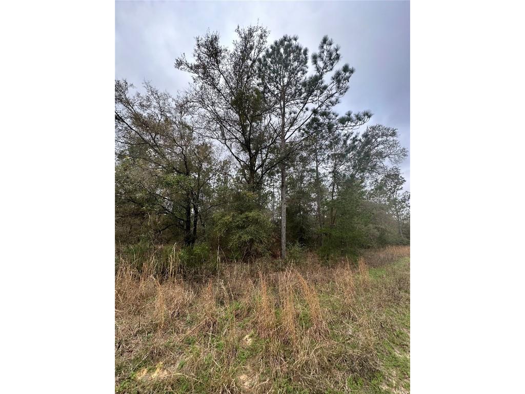 106 Jackson Drive Hawthorne FL 32640 GC511793 image1