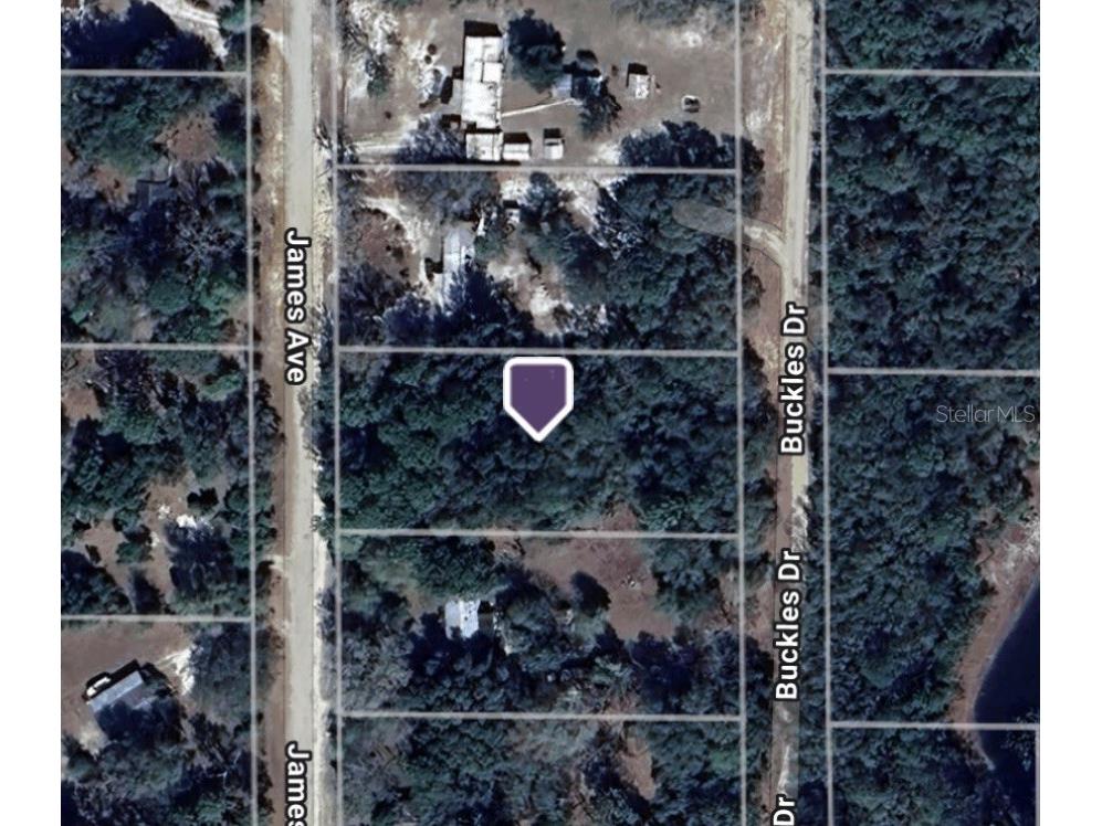 106 James Avenue Interlachen FL 32148 TB8379672 image1