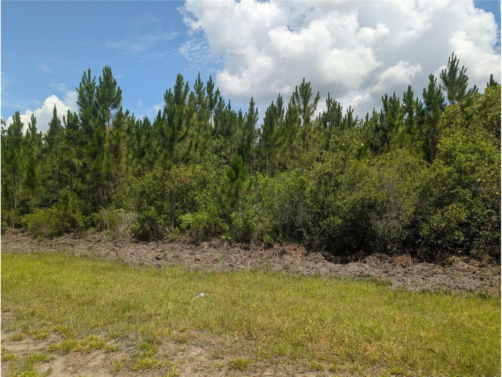 106 Japonica Drive Indian Lake Estates FL 33855 - LAKE WALK-IN-WATER P4938987 image1