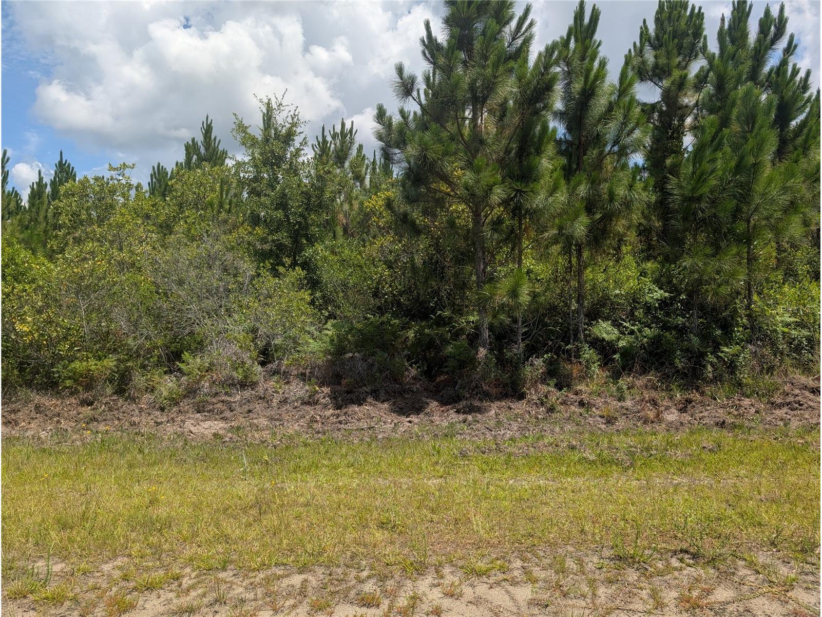 106 Japonica Drive Indian Lake Estates FL 33855 - LAKE WALK-IN-WATER P4938987 image10