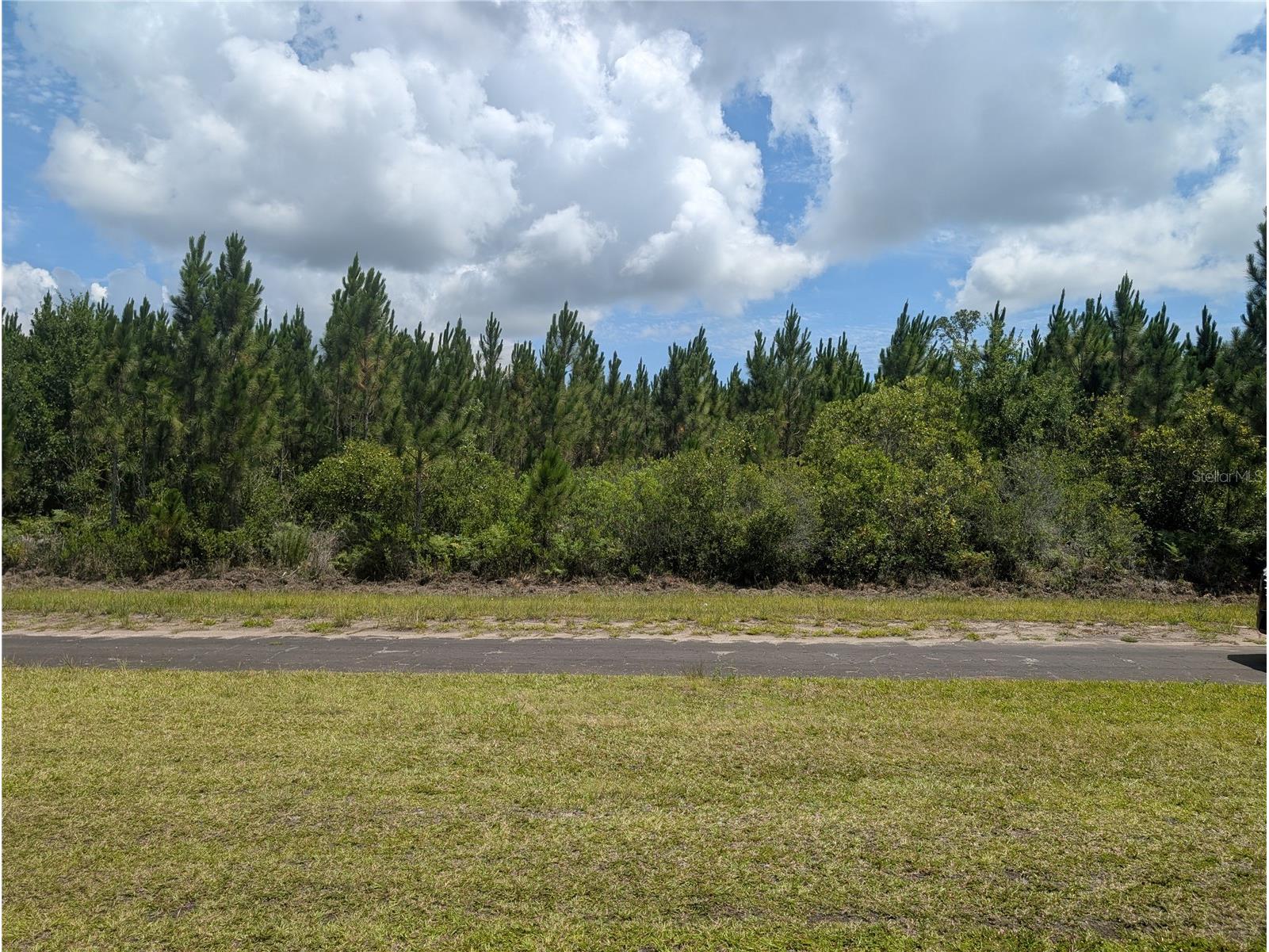 106 Japonica Drive Indian Lake Estates FL 33855 - LAKE WALK-IN-WATER P4938987 image4