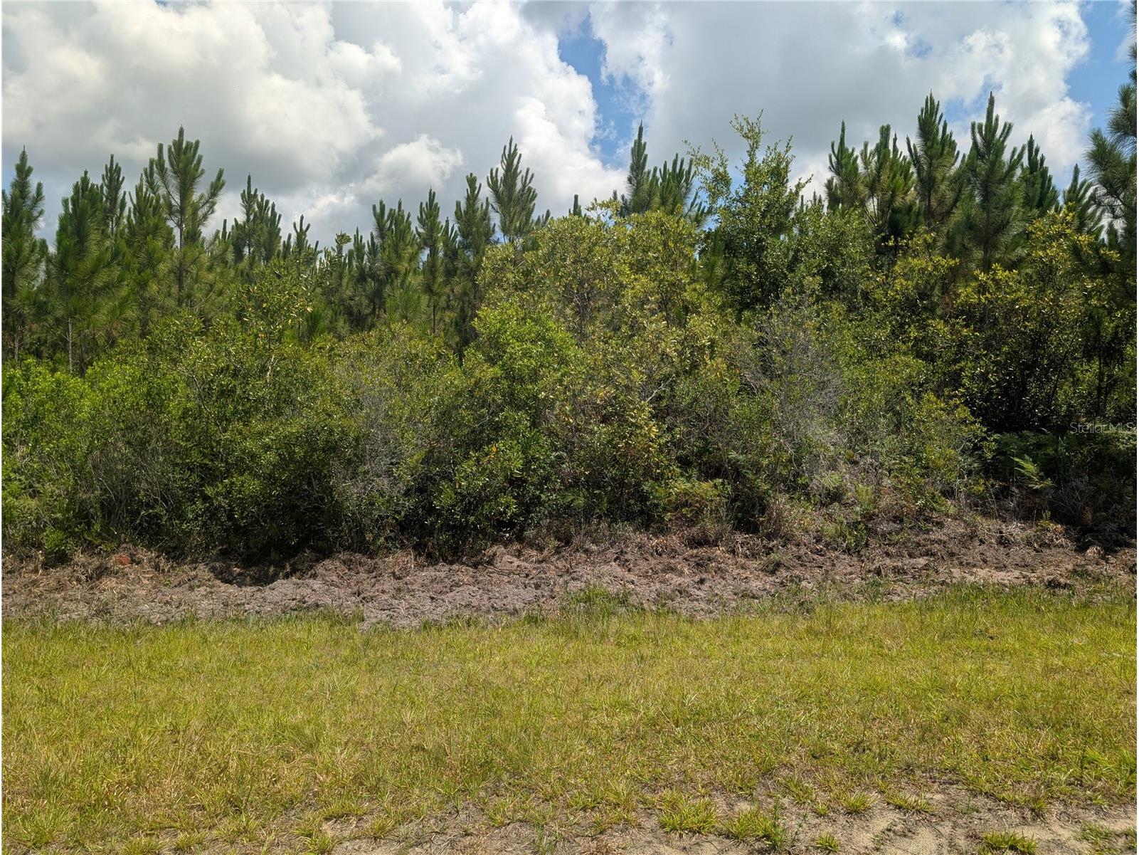 106 Japonica Drive Indian Lake Estates FL 33855 - LAKE WALK-IN-WATER P4938987 image5