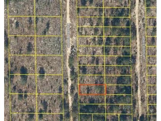 106 Kansas Avenue Hawthorne FL 32640 O6277885 image1