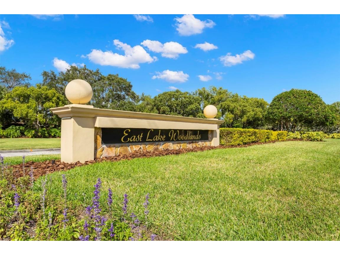 106 Lakeview Place #106 Oldsmar FL 34677 TB8411641 image33