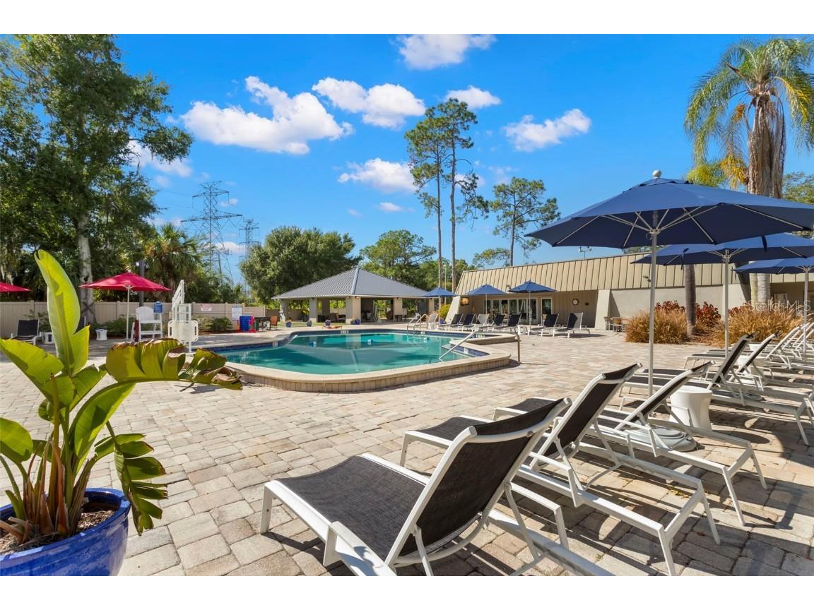 106 Lakeview Place #106 Oldsmar FL 34677 TB8411641 image34