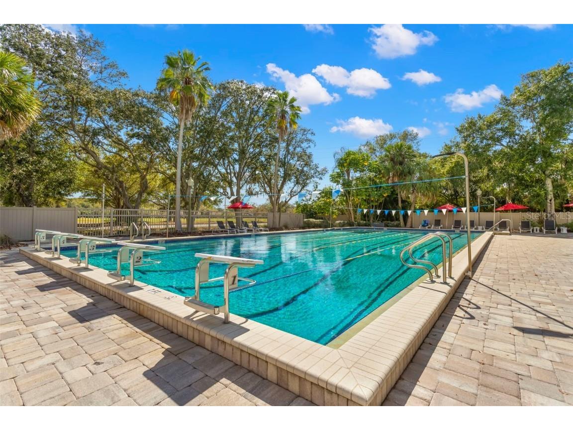 106 Lakeview Place #106 Oldsmar FL 34677 TB8411641 image36
